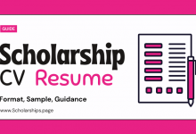 Outstanding Scholarship Resume (CV) Sample for Applicants