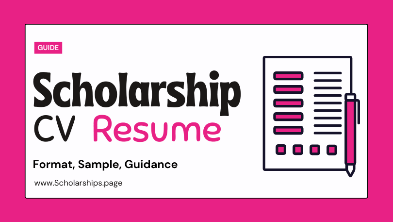 Outstanding Scholarship Resume (CV) Sample for Applicants
