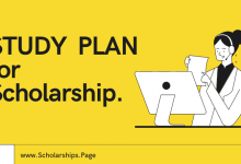 Write a STUDY PLAN to Land a Scholarship at Top Ranked University of College