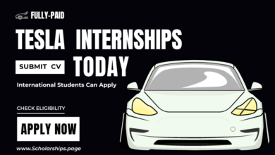 Tesla Summer Internships 2023 Are Looking for New Recruits
